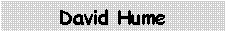 Cuadro de texto: David Hume