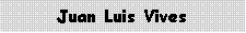 Cuadro de texto: Juan Luis Vives