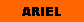 Cuadro de texto: ARIEL