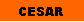 Cuadro de texto: CESAR