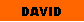 Cuadro de texto: DAVID