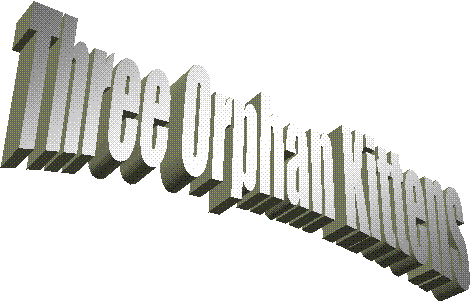 Three Orphan Kittens