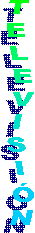 TELEVISI�N

