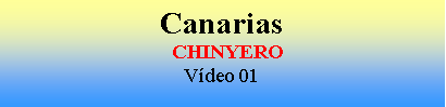 Cuadro de texto: Canarias  CHINYEROV�deo 01